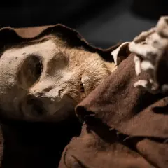El rostro de una momia de quinto, con su piel curtida y vestimenta monacal marrón, emerge de la oscuridad.