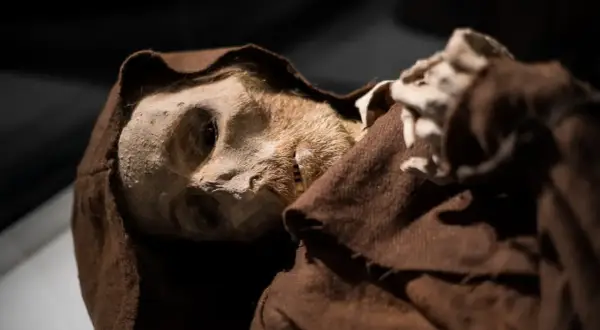 El rostro de una momia de quinto, con su piel curtida y vestimenta monacal marrón, emerge de la oscuridad.