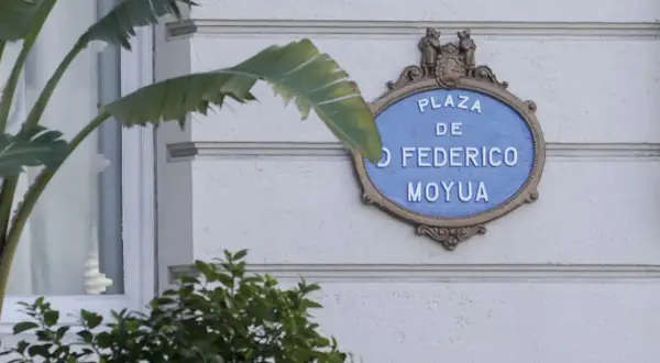 Placa de "Plaza Federico Moyua" en una pared blanca, con hojas verdes de plantas en primer plano.