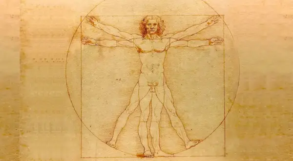 El hombre de Vitruvio, un estudio de proporciones humanas idealizadas, se muestra dentro de un círculo y un cuadrado.