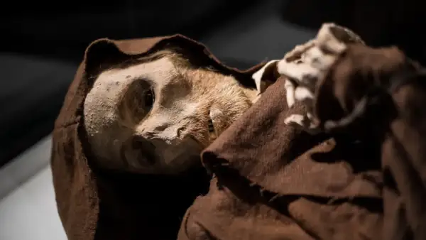 El rostro de una momia de quinto, con su piel curtida y vestimenta monacal marrón, emerge de la oscuridad.