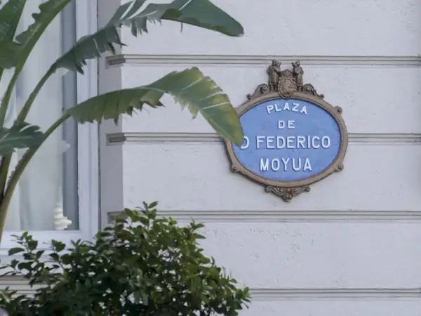Placa de "Plaza Federico Moyua" en una pared blanca, con hojas verdes de plantas en primer plano.