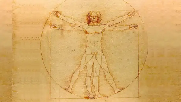 El hombre de Vitruvio, un estudio de proporciones humanas idealizadas, se muestra dentro de un círculo y un cuadrado.