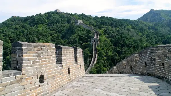 La Gran Muralla China serpentea por colinas boscosas. Su extensión es asombrosa, un testimonio de la historia.